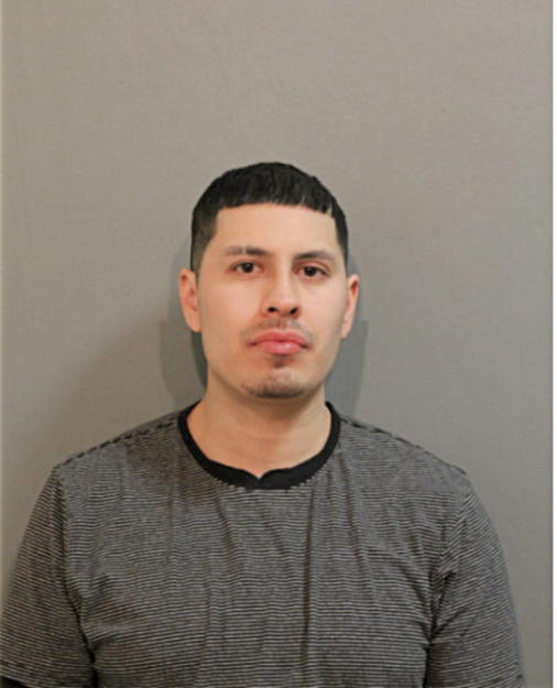 JESUS CERDA, Cook County, Illinois