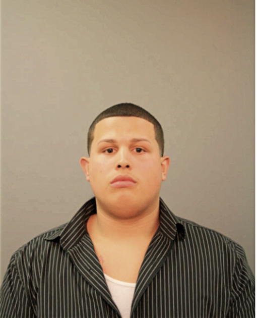 HECTOR M FELICIANO, Cook County, Illinois