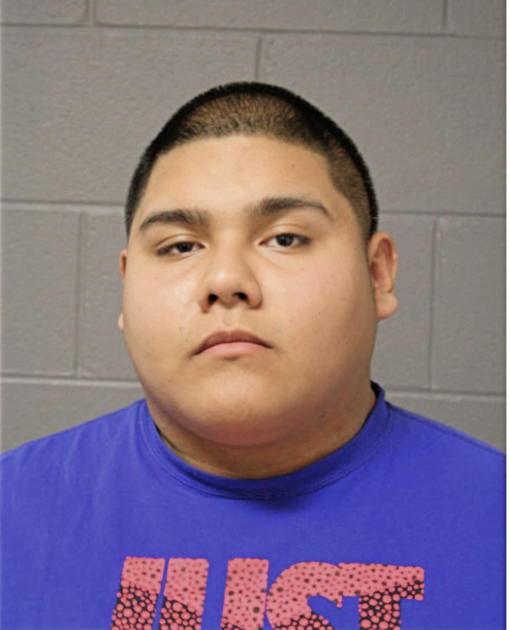 ERIK E GUTIERREZ, Cook County, Illinois