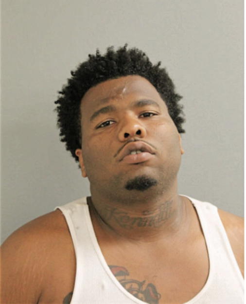 KENNY J HAYES, Cook County, Illinois