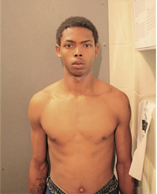 JOSHUA L HENDERSON, Cook County, Illinois