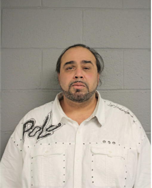 MARK A HOLLIMON, Cook County, Illinois