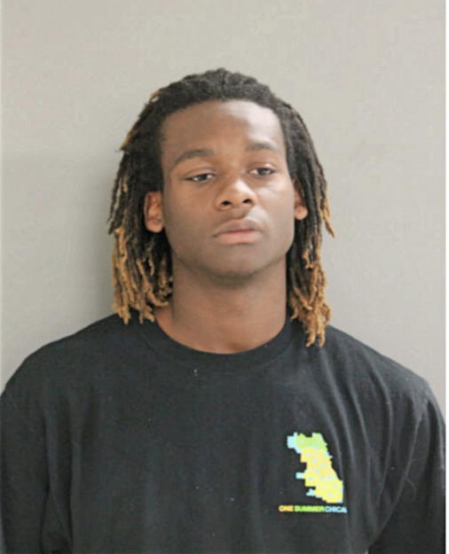 DEMETRIUS D LANE, Cook County, Illinois