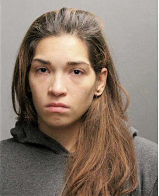 VANESSA LEBRON, Cook County, Illinois
