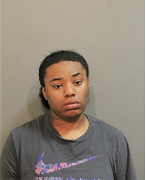 ASHLEY SL LEWIS, Cook County, Illinois