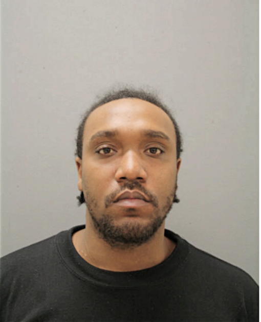 STEPHAN C M HUNT, Cook County, Illinois