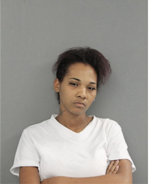 CHENEY C MAHDI, Cook County, Illinois