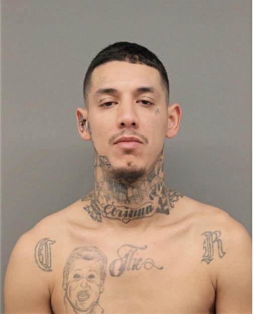 GUSTAVO A MENDOZA, Cook County, Illinois