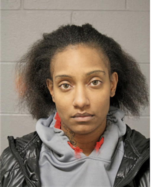 CRYSTAL L MINNER, Cook County, Illinois
