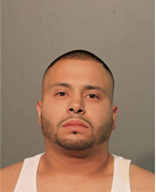 LUIS G MIRANDA, Cook County, Illinois
