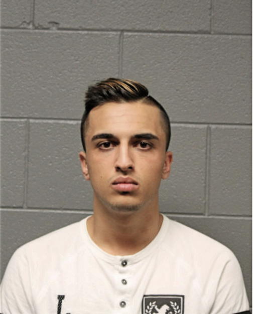 ARMAN SHOKOUHI RAD, Cook County, Illinois