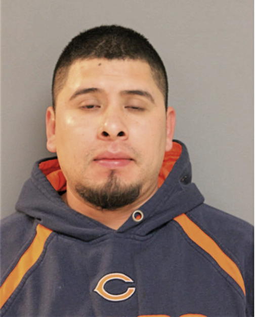 DANIEL RIVERA, Cook County, Illinois