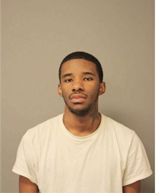 MICHAEL E SMITH, Cook County, Illinois