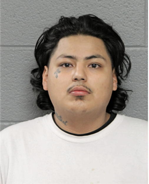 ERIC TORRES, Cook County, Illinois