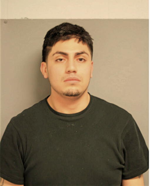 CHRISTIAN D VARGAS, Cook County, Illinois