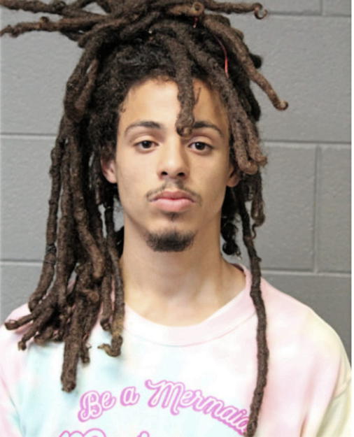 ETHAN E VIETS-VANLEAR, Cook County, Illinois