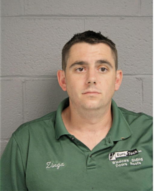 MICHAEL T ZINGA, Cook County, Illinois