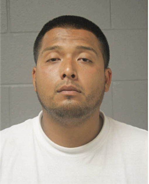 DAVID ABARCA, Cook County, Illinois