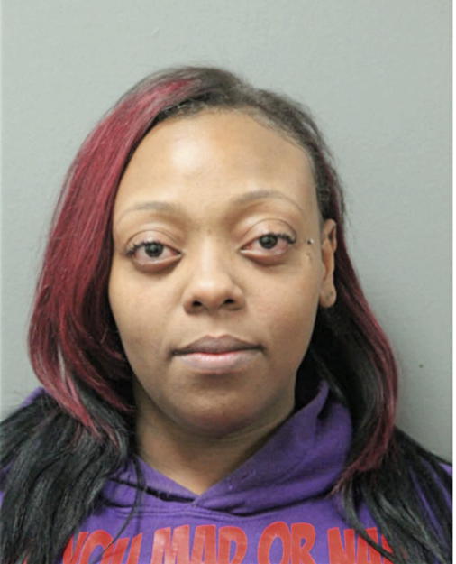 DANIELLE K AKERSON, Cook County, Illinois