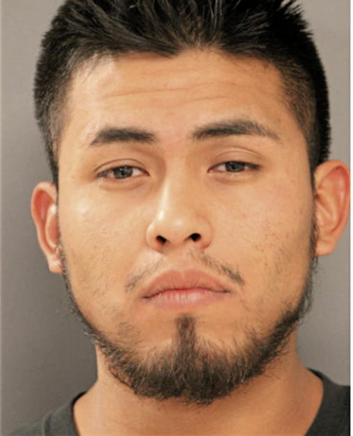 JOSUE APOLINAR, Cook County, Illinois