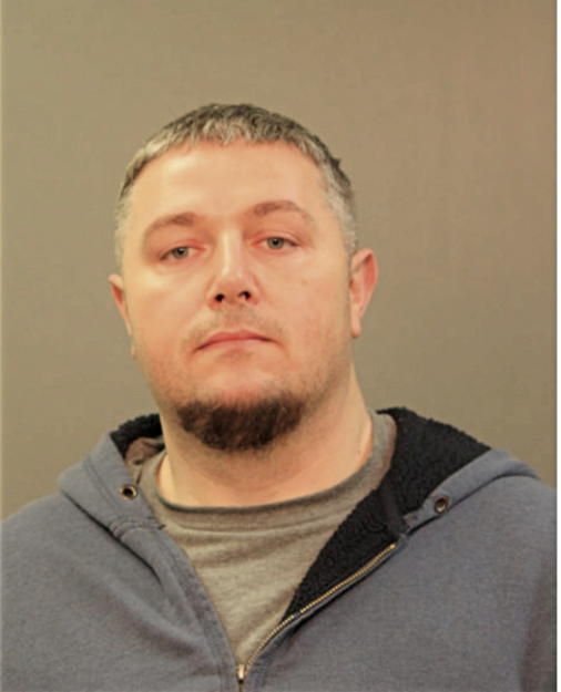 AJNUR AVDIC, Cook County, Illinois