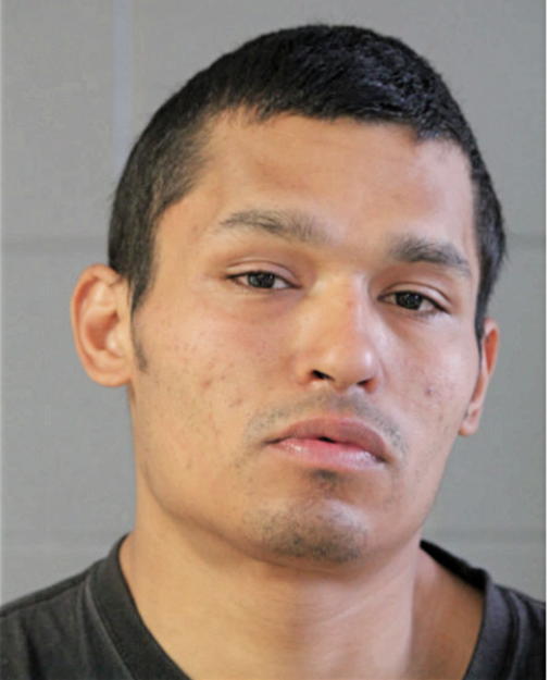 DAVID C CALVILLO, Cook County, Illinois