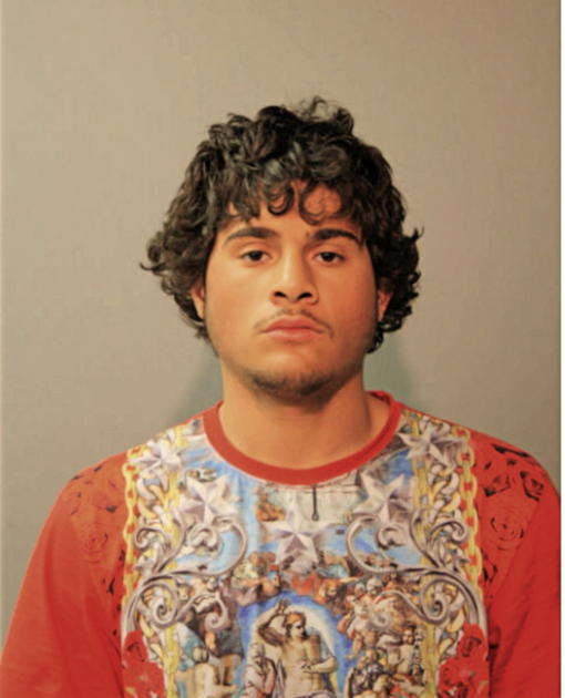 GEORGE E CARLO, Cook County, Illinois