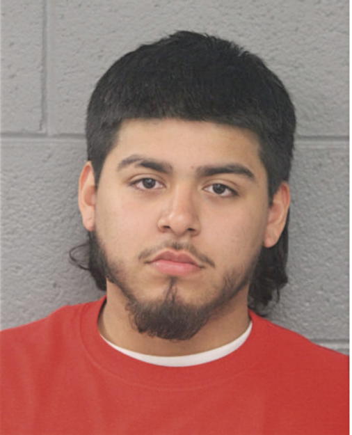 DAMIEN A CHAVEZ, Cook County, Illinois