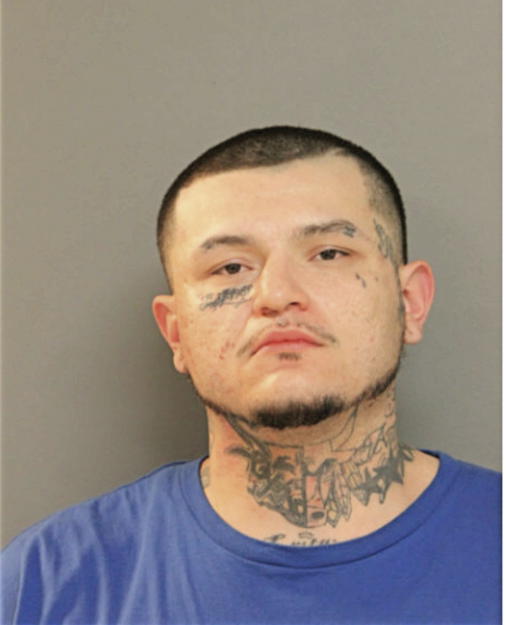 ANTHONY J FUENTES, Cook County, Illinois