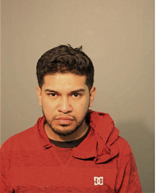 EDGAR A GAMBOA, Cook County, Illinois