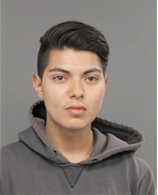 RICARDO X GARNICA-MUNOZ, Cook County, Illinois
