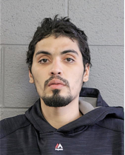 FRANCISCO GONZALEZ, Cook County, Illinois