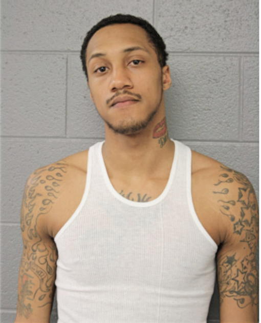 JOEL C JENKINS, Cook County, Illinois