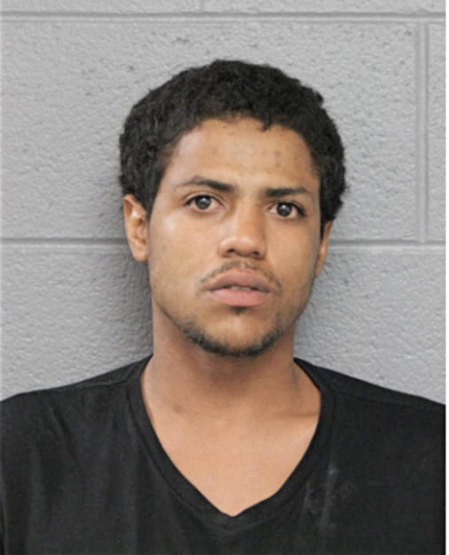 TOREY M JONES, Cook County, Illinois