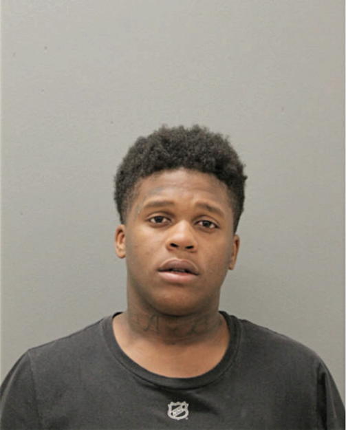 FERNANDO L LITTLE, Cook County, Illinois