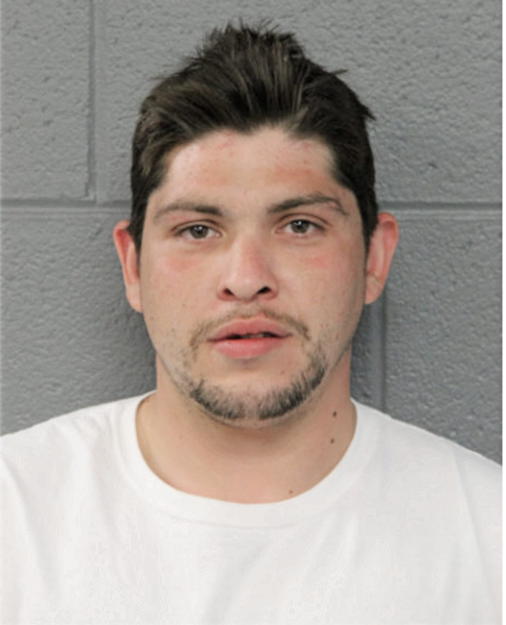 VINCENZO MANDILE, Cook County, Illinois