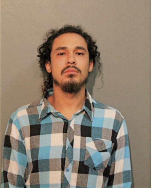 RENE J MARIN, Cook County, Illinois
