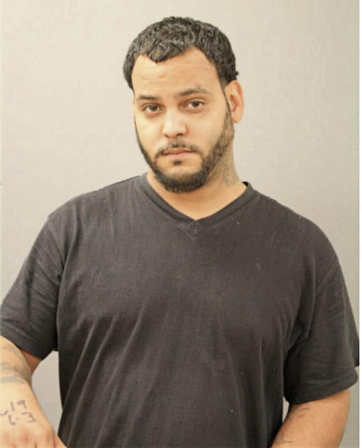 LUIS A MARTINEZ, Cook County, Illinois