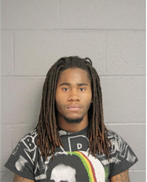JAMIE L MCKINNEY, Cook County, Illinois