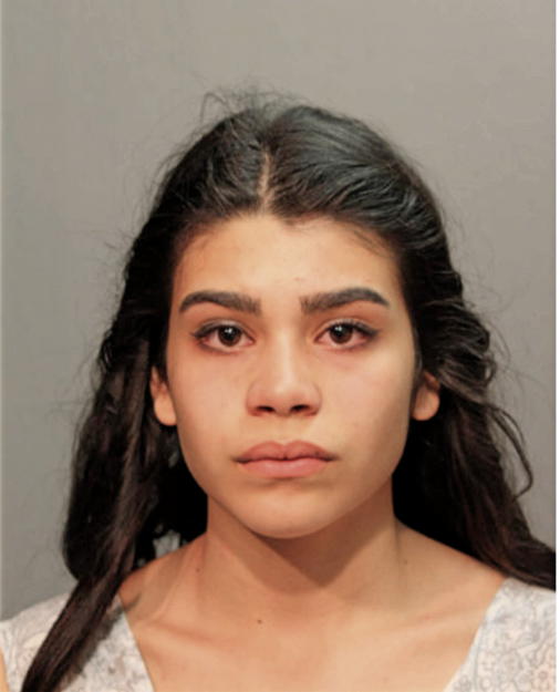 ASHLEY M MEDINA, Cook County, Illinois