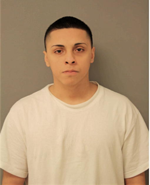 RICARDO MENDOZA, Cook County, Illinois