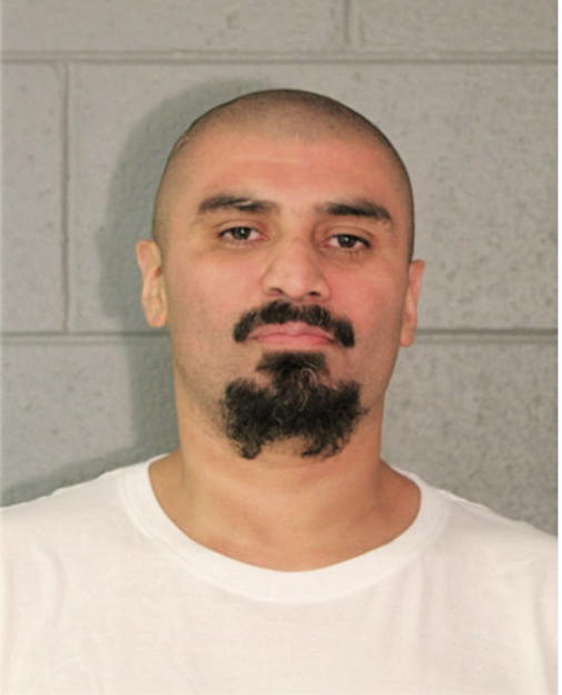 JOSE A ORELLANA, Cook County, Illinois