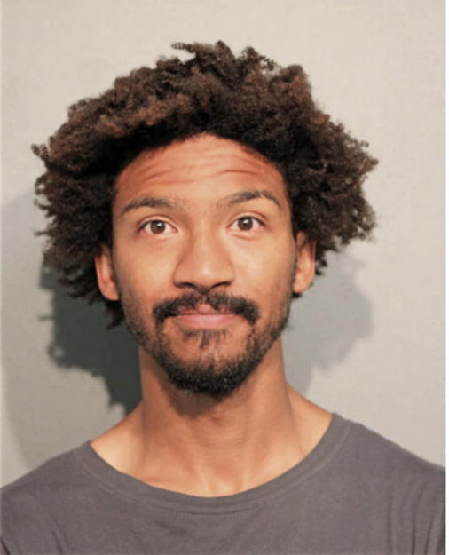 TYLER ORTIZ, Cook County, Illinois