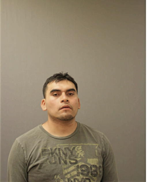 RAFAEL PANIAQUA, Cook County, Illinois