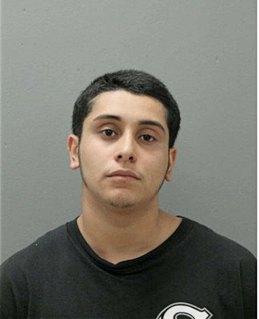 DAVID L PEDRAZA, Cook County, Illinois