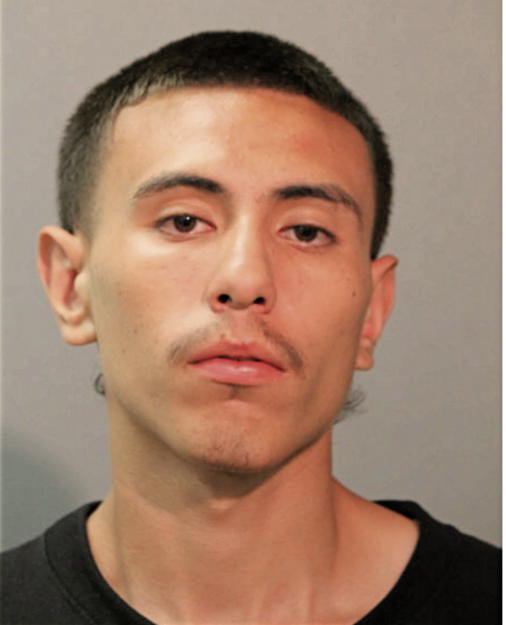 DIEGO PEREZ, Cook County, Illinois