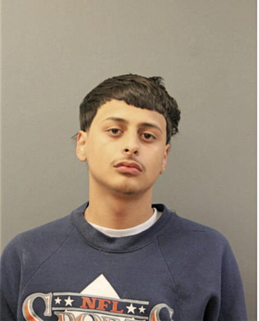 MICHAEL A ROLDAN, Cook County, Illinois