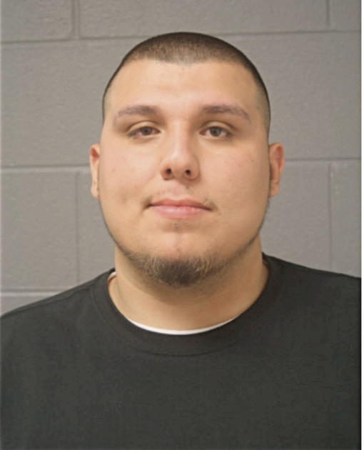 JOEL RUIZ, Cook County, Illinois