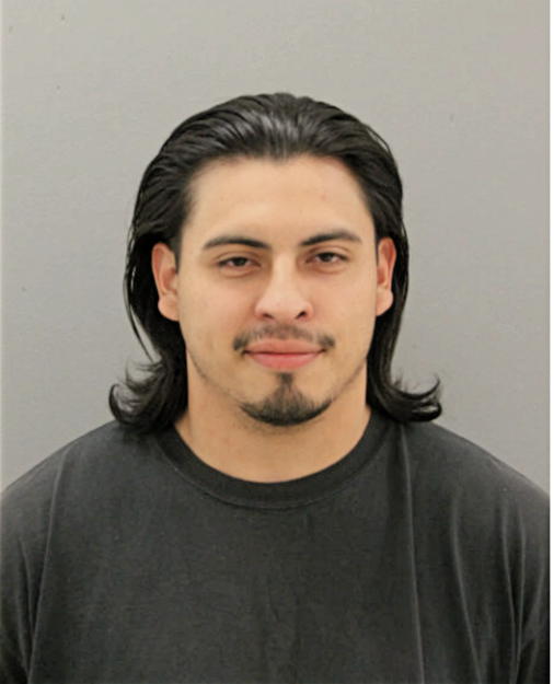 JAASIEL SANTOS, Cook County, Illinois