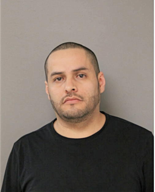 LUIS G SILVA-BRIONES, Cook County, Illinois